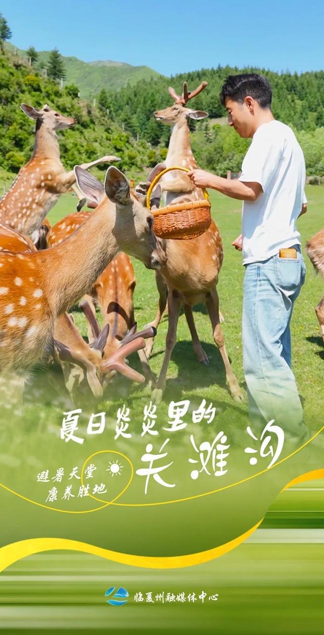 9张海报！带你打卡临夏夏日清凉秘境——关滩沟