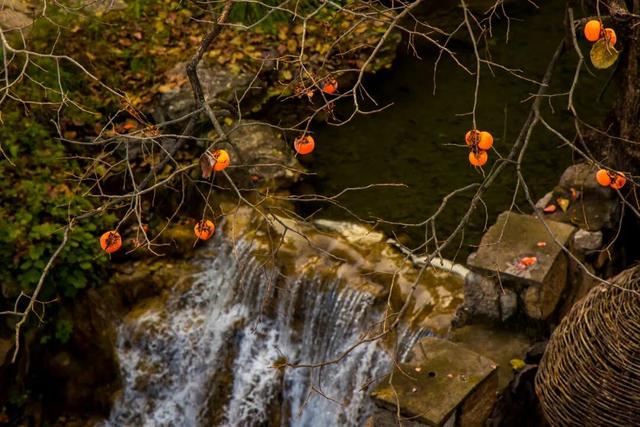 云丘山的秋天，是懂氛围感的！​​