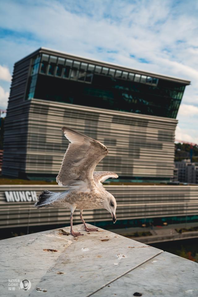 Oslo city walk 二刷挪威首都奥斯陆