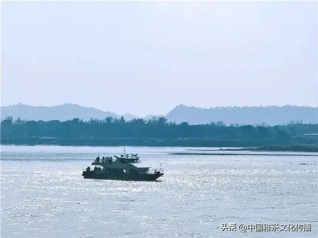 千缕茶香飘金砂,临窗赏景任风流