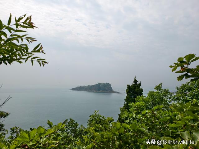 大连海之韵公园·棒槌岛