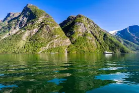 普通人也能看懂的龙头股寻找指南图片