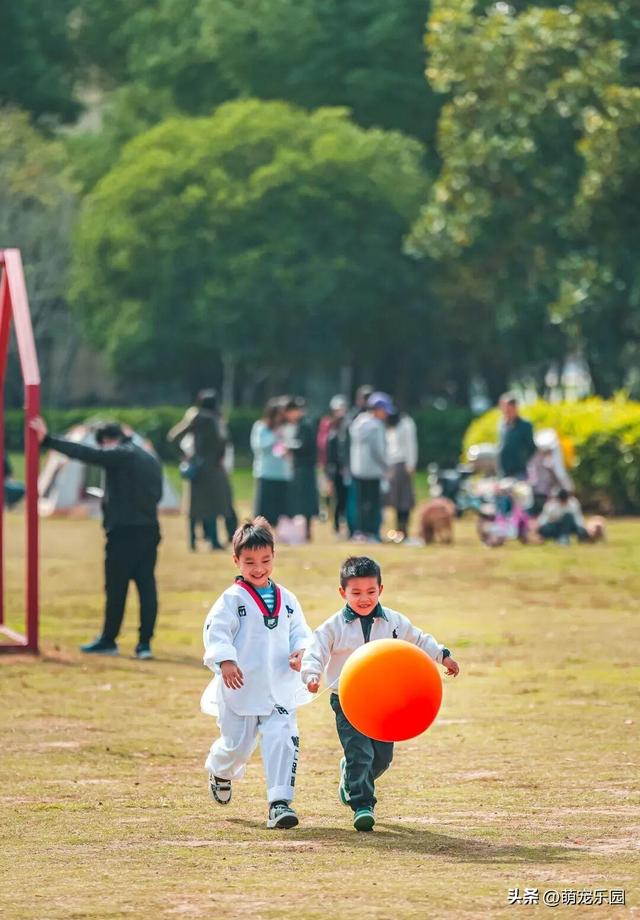清晨金银湖薄雾散开，径河公园帐篷如花朵，常青花园邻里情浓厚