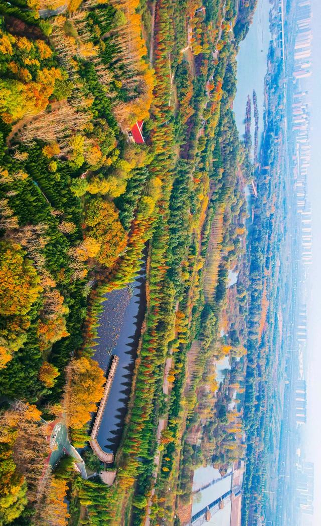 刚拍下!洛阳这个大型公园美爆了