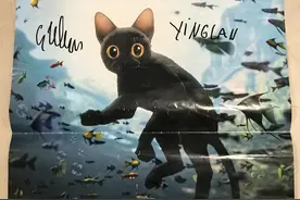 获奥斯卡金像奖的《猫猫的奇幻漂流》究竟讲了什么故事图片
