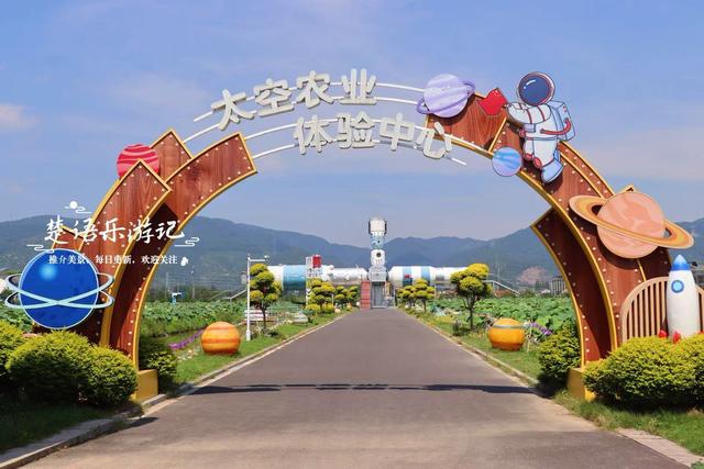 浙江宁波这片花海不仅变身荷塘，还新增许多游乐项目，太值得游玩