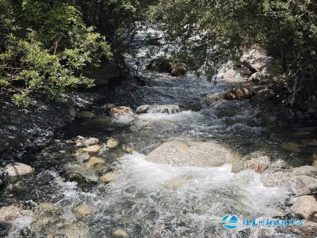 逃离热浪！临夏这几处避暑地，承包你的夏日清凉~