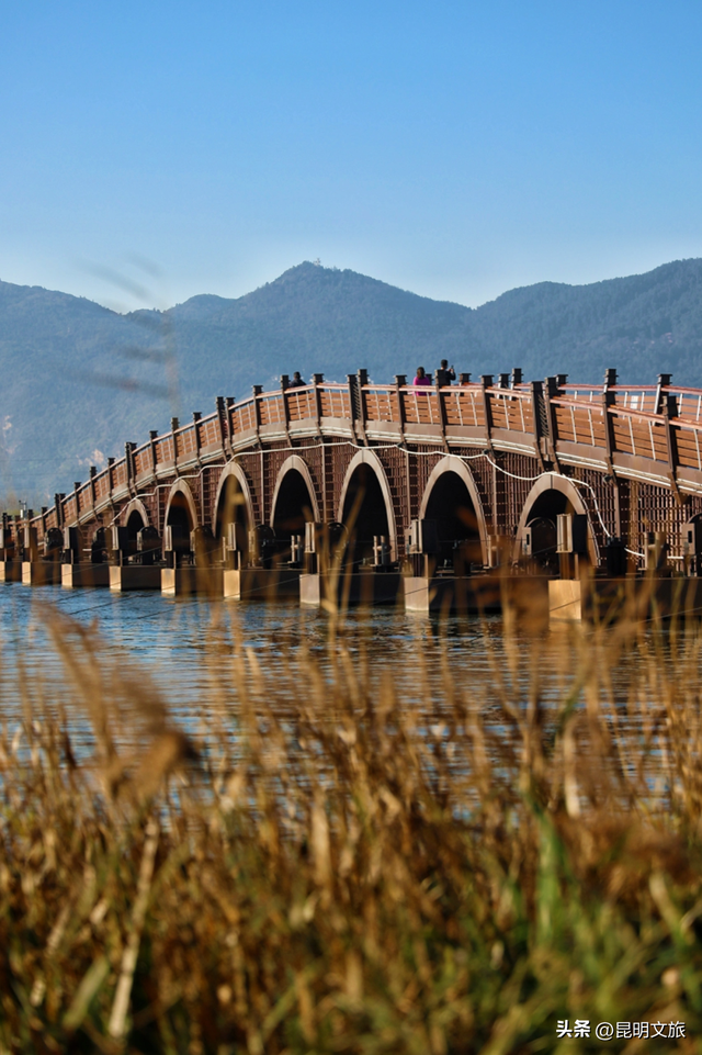 不止大坝！昆明观鸥最全热门+小众点位收录＊附核心区交通指南