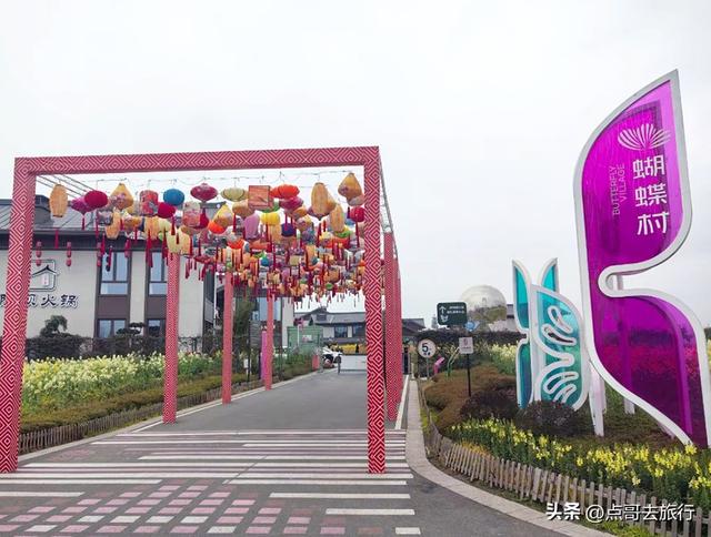 今天朋友圈的C位，成都限定的浪漫和震撼，错过了真的要等一年！