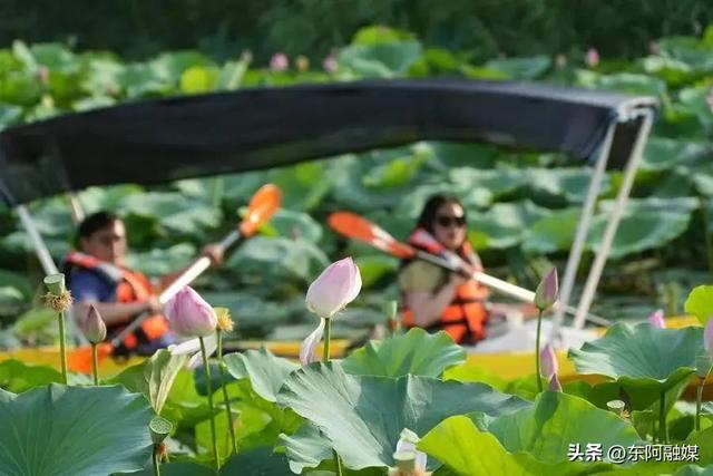 码住！六大公园带你领略江北水城的诗意与浪漫~