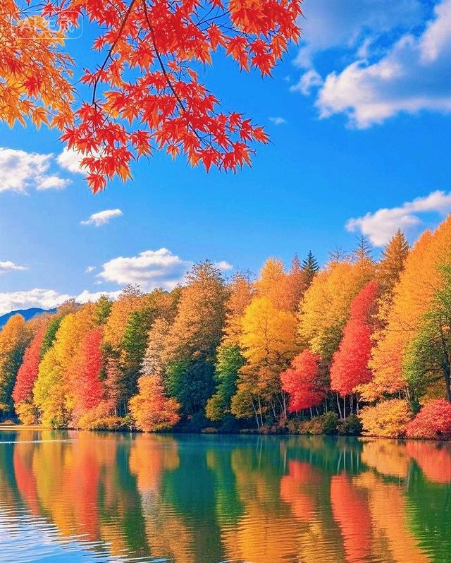 金秋风景美如画