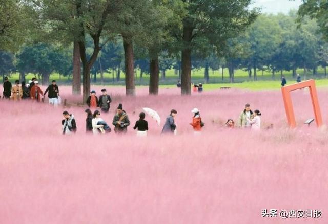 “秋与城的交响”