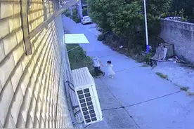 湖北12岁男孩杀害4岁女童后续：凶手经心理矫正6个月，已正常上学图片