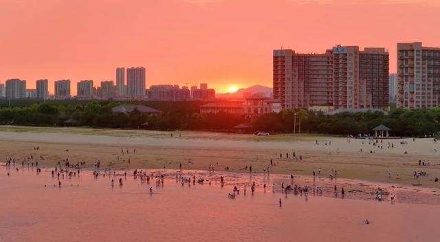 央视四平台连播！ 红滩盛夏铺锦绣 生态南海引客来