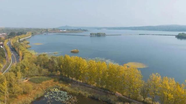 来淄博“捡秋”！海岱楼、周村大街…全被捡出来了→