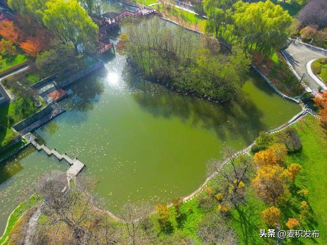 【东方微笑 多彩麦积】摄影师看麦积 | 初冬和谐园景色如画（上）