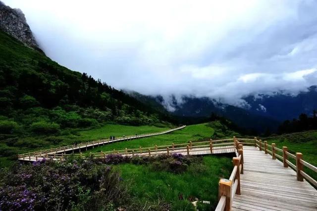 探秘宕昌：陇上仙境的自然奇观之旅