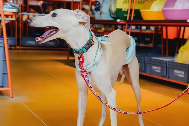 能待一整天，昌平4个适合遛娃的室内宝藏打卡地！