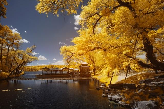 大批老人涌入承德，打着旅游名义，不逛避暑山庄不看外八庙，为啥