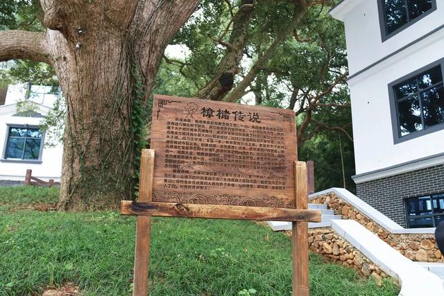 九江这几个有山有水的村子，氛围感拉满！