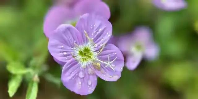 撩得女人荷尔蒙爆发的肉麻情话，有这10句。
