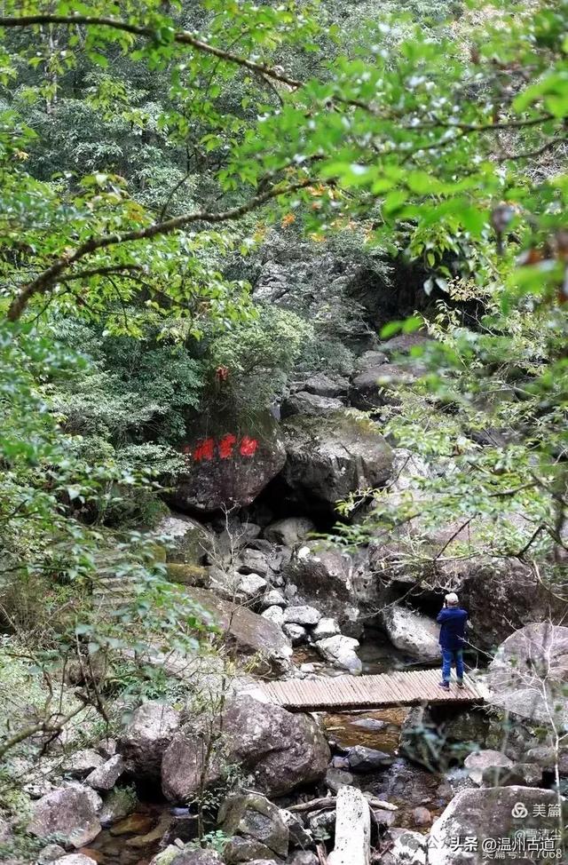 远上乌岩岭上斜,白云生处白云尖!温州这处秋日美景值得一去!