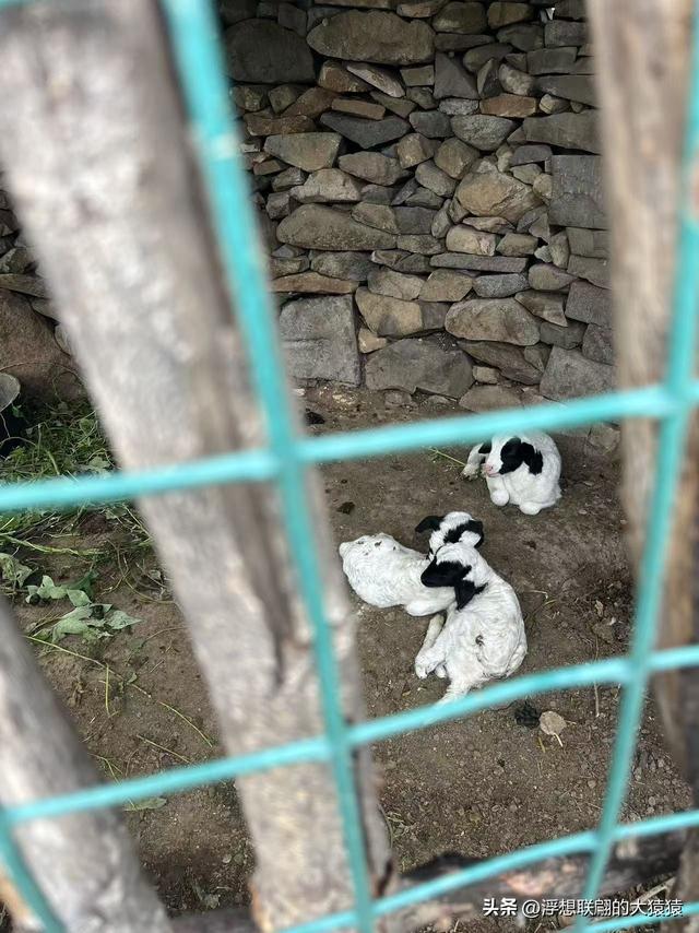 章丘大山深处有一座始建于宋元时期的古庙宇：杓峪庵