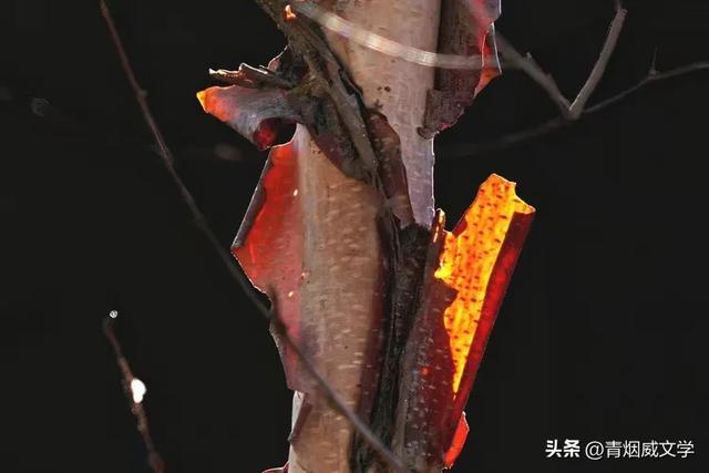 怀来秋日美