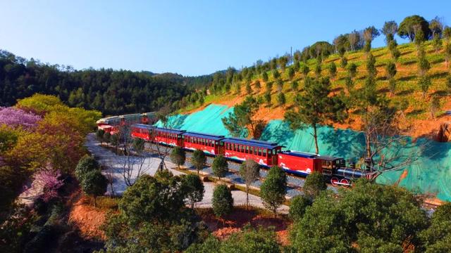 龙岩周末去哪儿｜看游龙、赏樱花，本周末必冲的两大惊喜目的地→