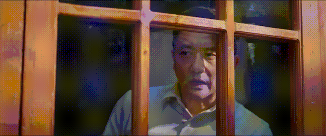 《灼灼韶华》大结局：夏元到死都不知道，韶华到底怎么赢的自己