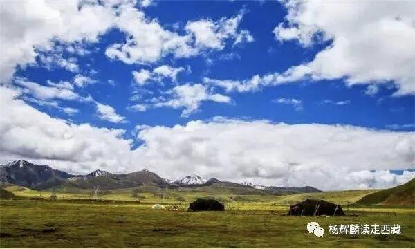 山南•曲松，这几个地方必须去，可以一睹藏獒风采