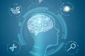 关于组织开展上海市会计专业技术人员2024年继续教育的通知图片