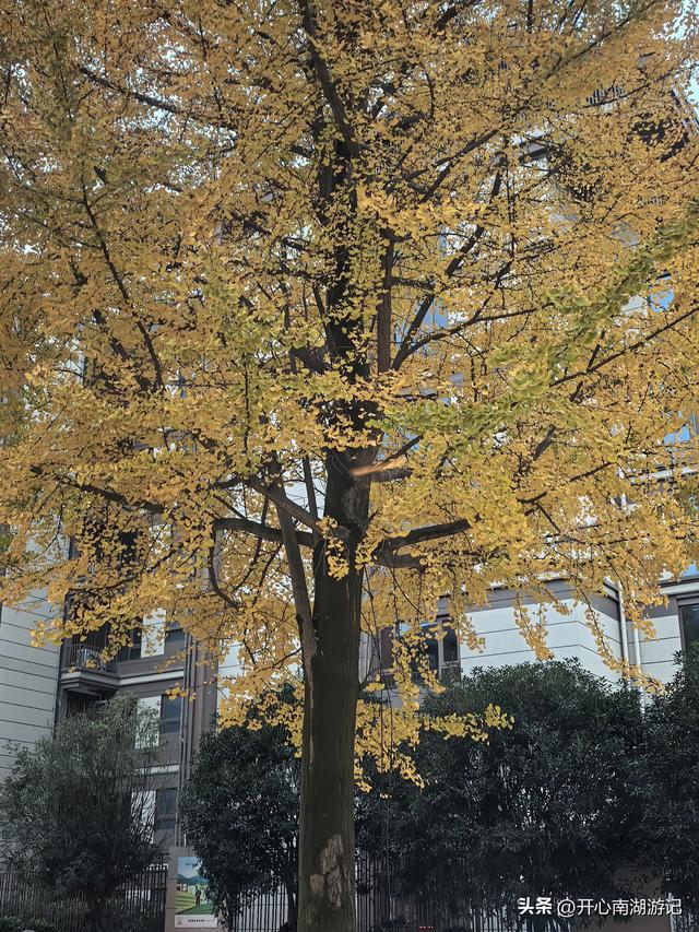 喀什经317到成都，色达县-都江堰，甲居藏寨、理小路、桃坪羌寨