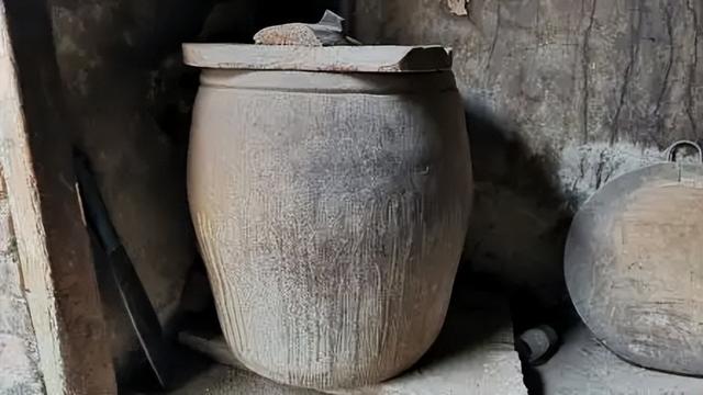 长长一条花胶 2025年一条花胶大约有多少克