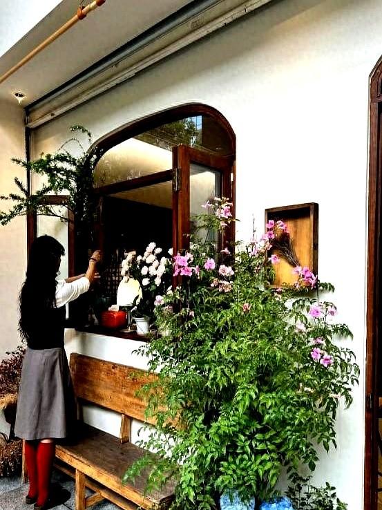 “！阴花不能进阳宅”，家里若有这5种花，请赶紧“搬出去”！