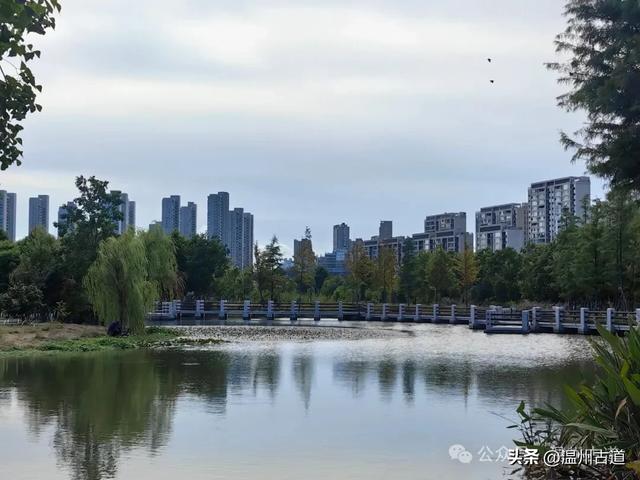 浙南最大的乡镇湿地公园原来在这里！