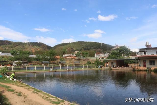 自在嵩明丨层峦碧水、林间野趣、美食垂钓……近郊旅行就来杨桥西山大村子
