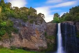 关于二年级可爱的小猫作文（精选65篇）图片