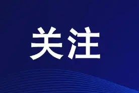 高效办成一件事丨今年入学招生期间，泰安提供不动产登记信息查询16.5万余次图片