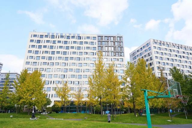 银杏翩跹，“AI上秋天”