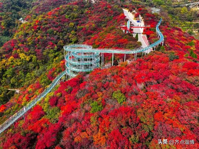最佳赏红期已至——红叶柿岩开启“全红模式”！