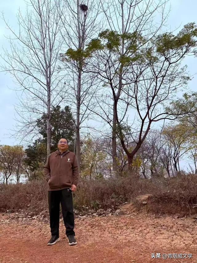 盘龙悠远银杏黄 水中学友情谊长