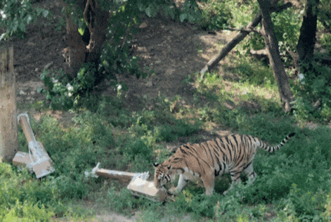 又美又可爱的西海岸！总要来一次！