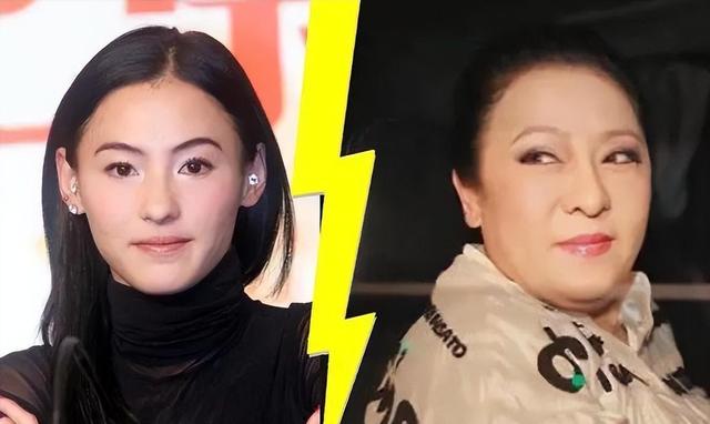 狐狸尾巴藏不住，撒谎成性、风流潇洒的张柏芝，被陈晓东撕下体面