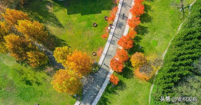 【东方微笑 多彩麦积】摄影师看麦积 | 初冬和谐园景色如画（上）