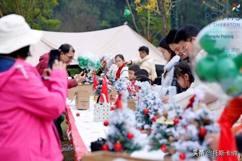 “爪爪心愿·暖冬童话夜”圣诞亮灯温情启幕萌宠与爱共绘冬日美好