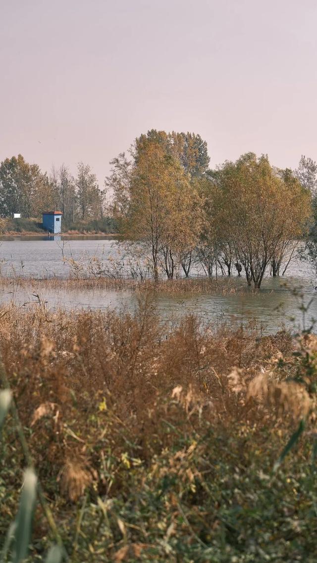 宿州私藏了个“小九寨沟”！就在萧县官桥镇，美到犯规！