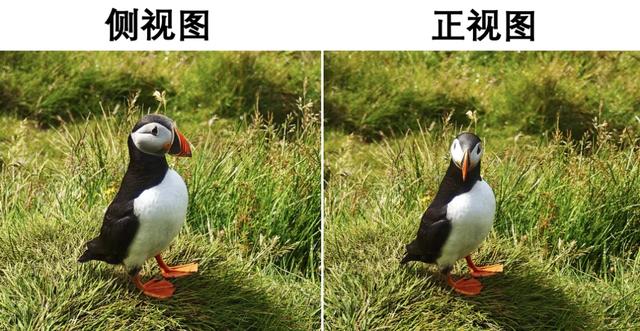 带全公司在冰岛玩10天有多爽?同事:人就不应该上班!