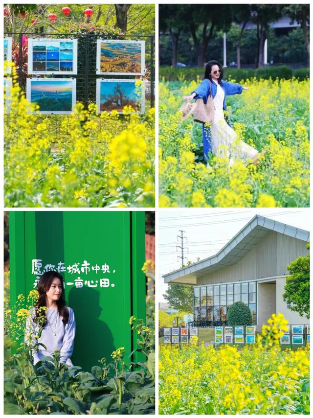 湾区周末IN东莞 | 崇焕故里向你发出City Walk邀约,一起逛墟市、走花路、访古村~