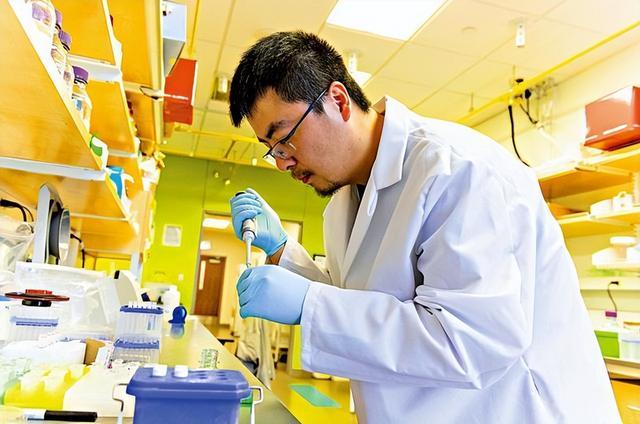 美国赶走大批中国科学家后，聘用了印度专家，结果如何？